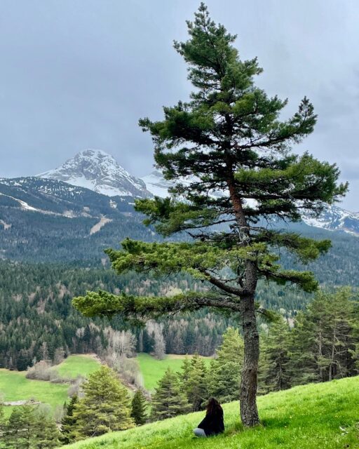 F36A1C82-9E68-4058-B147-8771DFAA0B5C