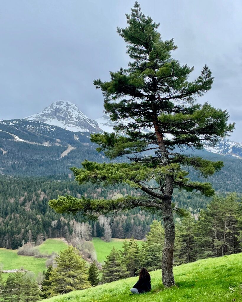 F36A1C82-9E68-4058-B147-8771DFAA0B5C